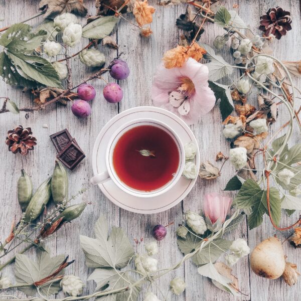 Herbal Harmony: Nurturing Wellness with the Magic of Herbal Teas